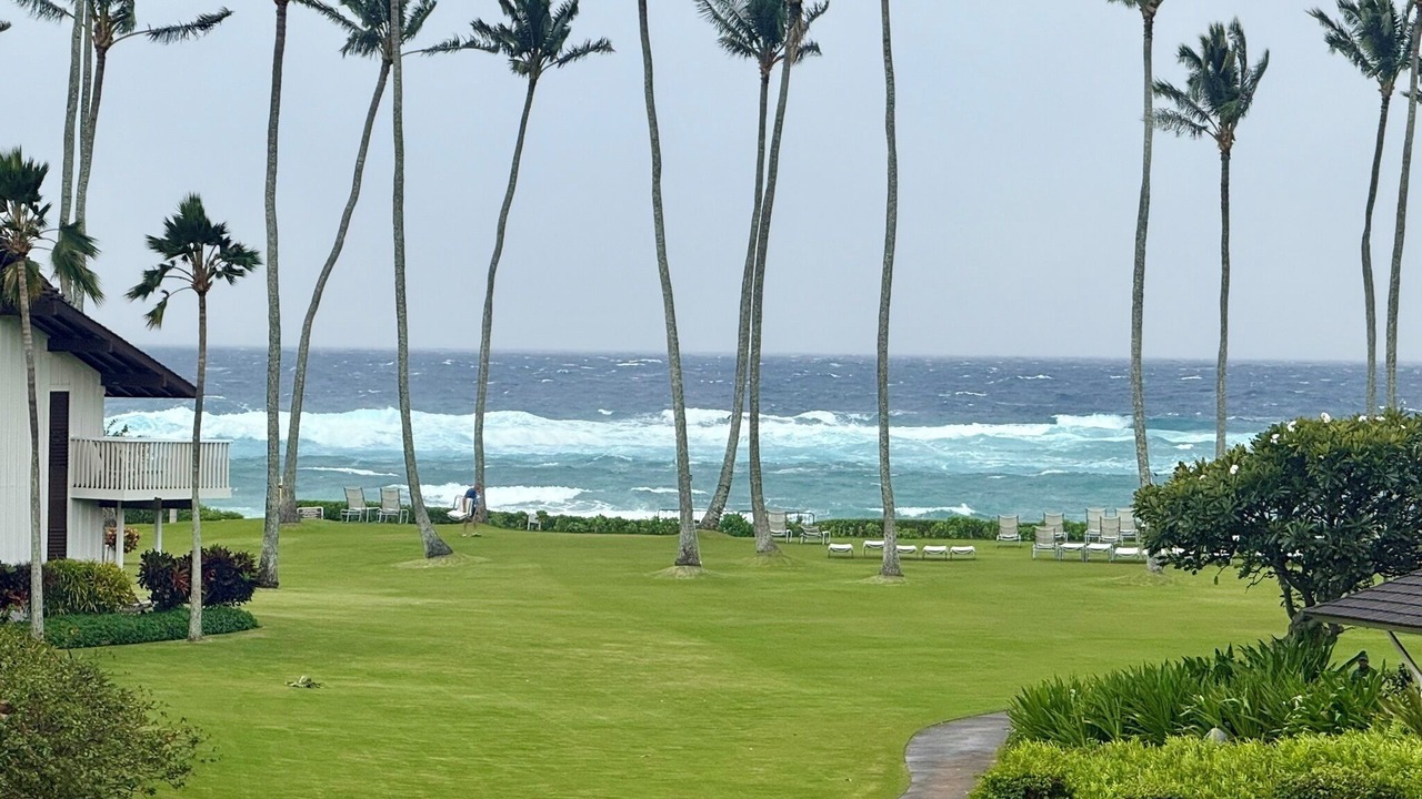 Photo of Others in Poipu