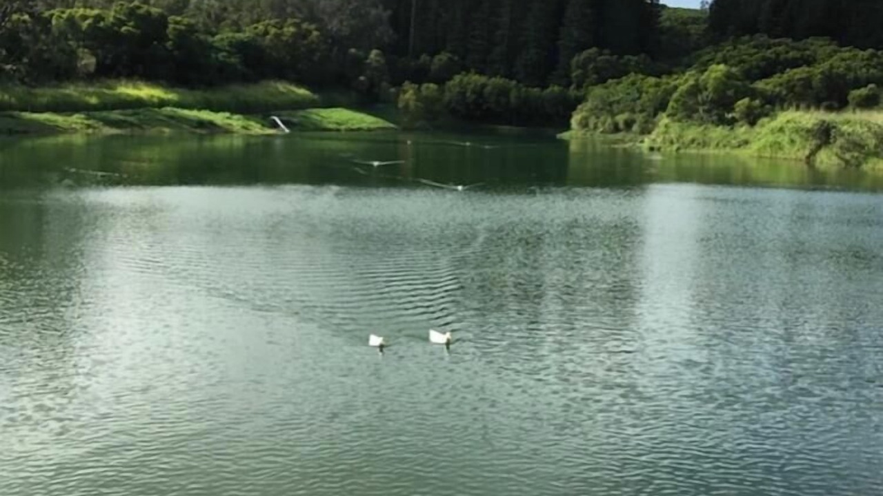 Photo of Outdoor in Kahana
