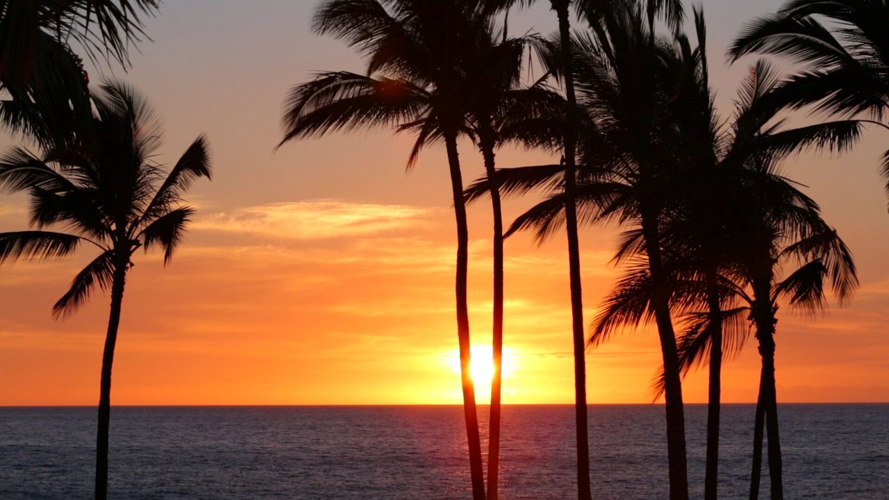 Photo of Others in Lahaina