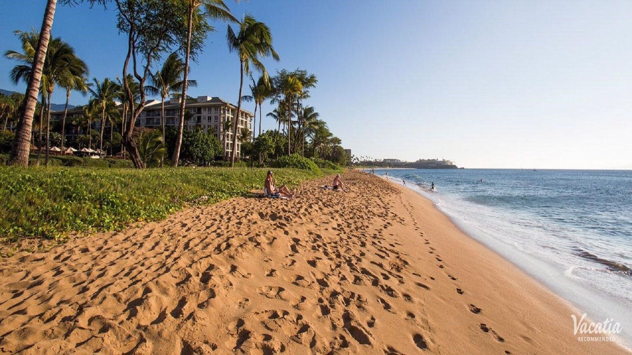 Photo of Others in Lahaina