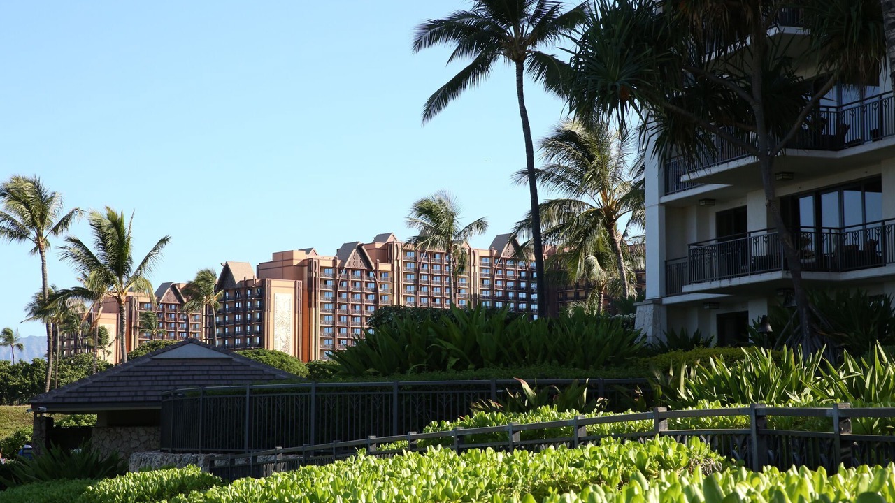 Photo of Others in Ko Olina
