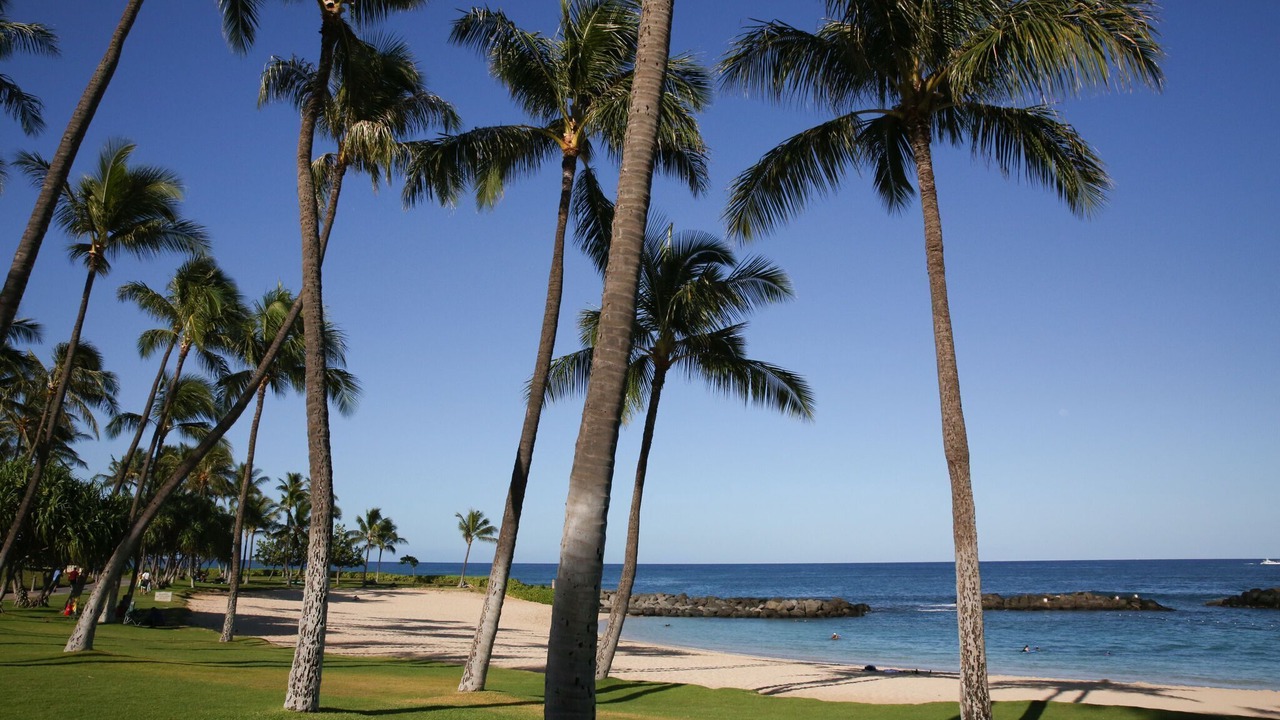 Photo of Others in Ko Olina