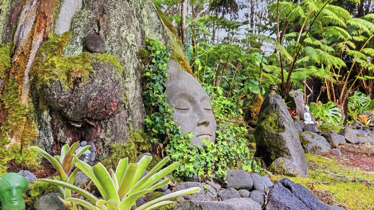 Photo of Outdoor in Volcano