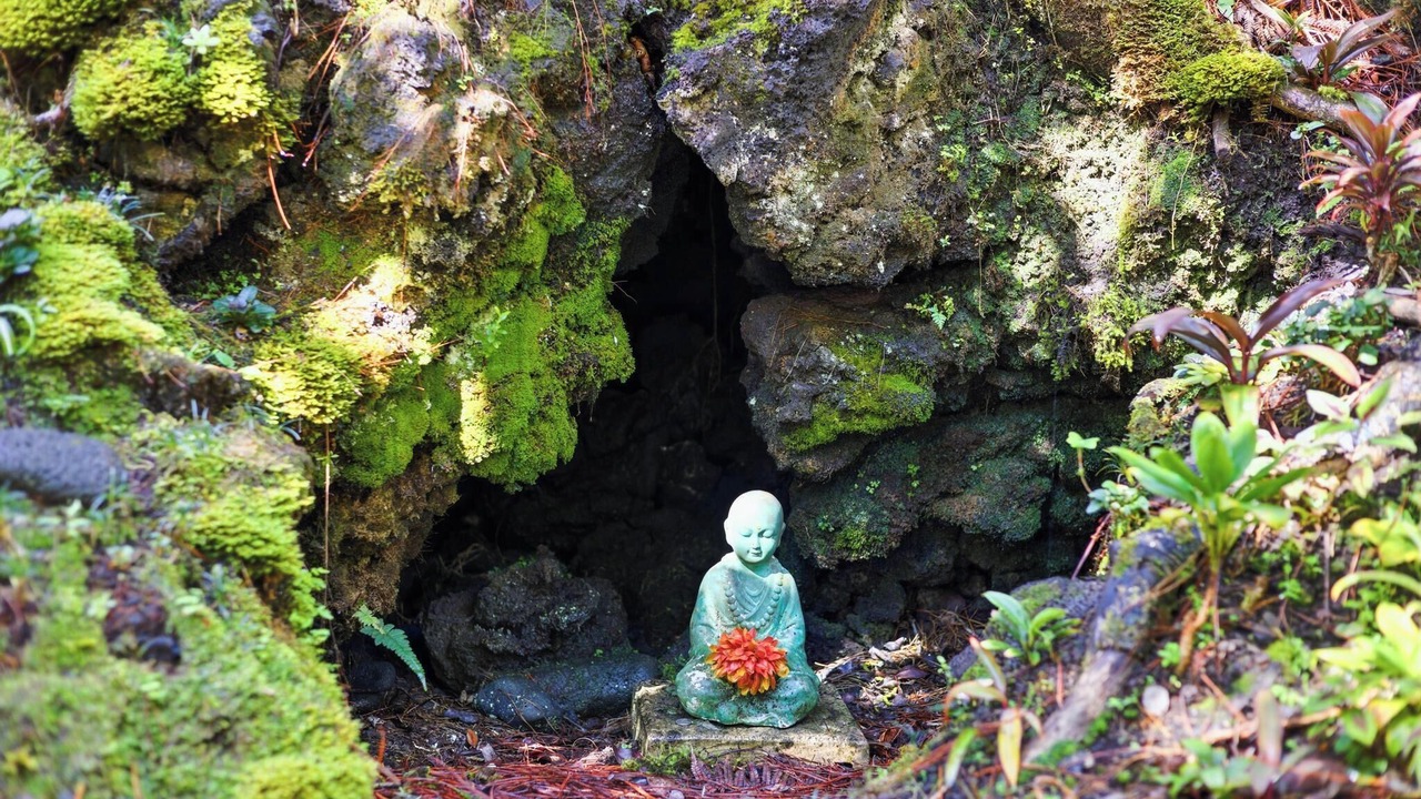 Photo of Outdoor in Volcano
