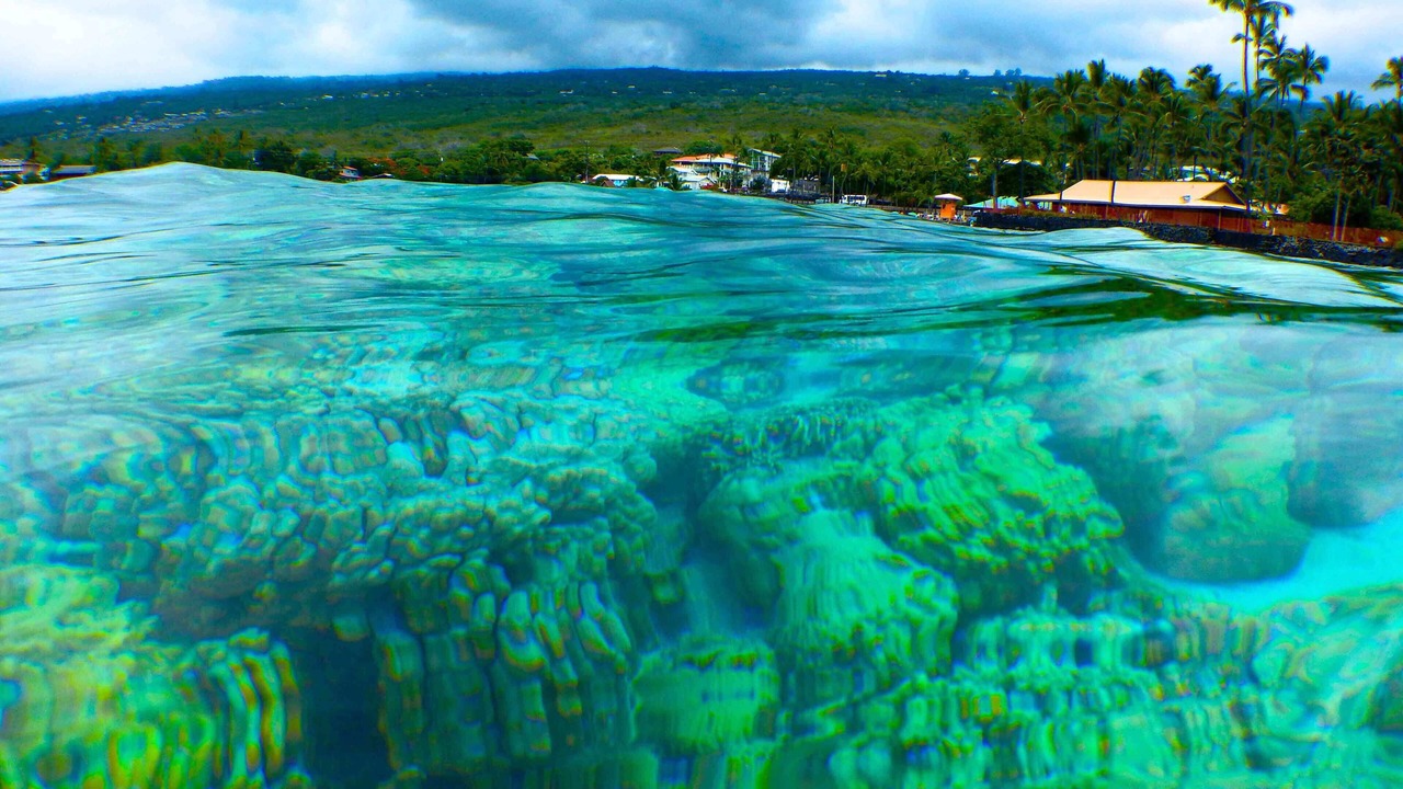 Photo of Others in Kahaluu Bay