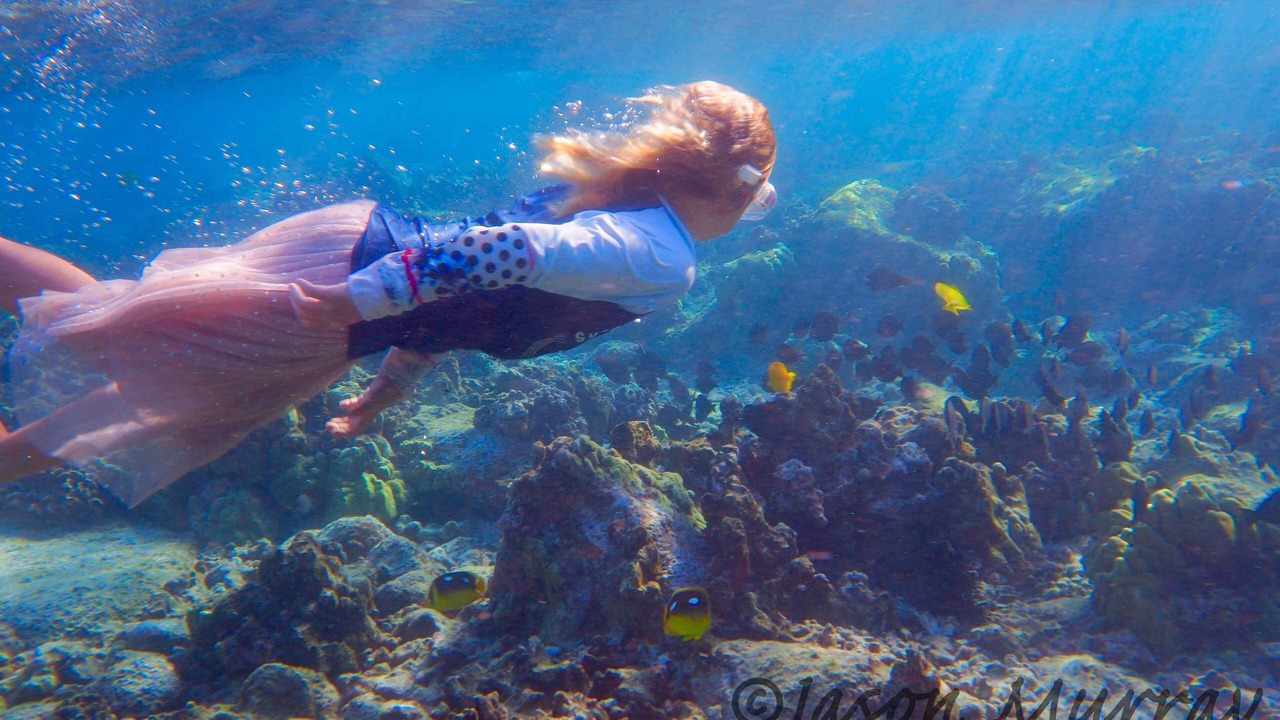 Photo of Others in Kahaluu Bay