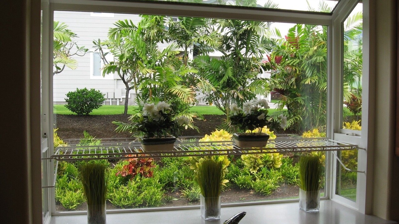 Photo of Outdoor in Kailua-Kona