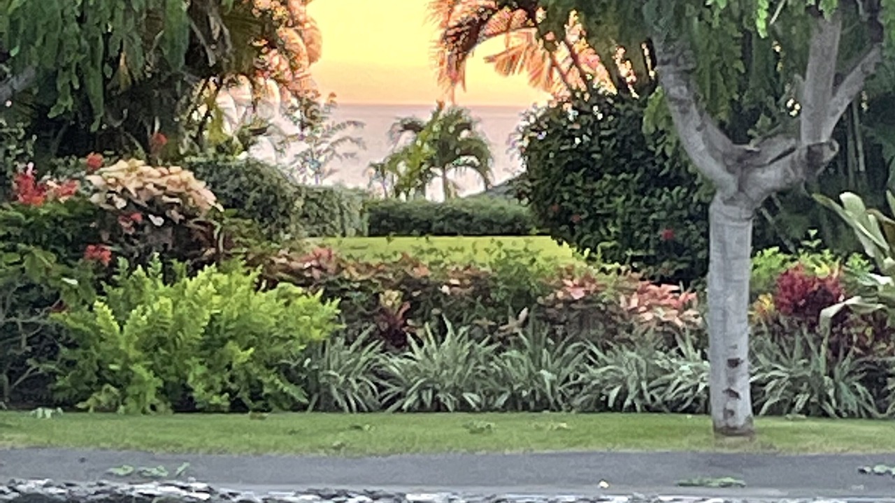 Photo of Others in Kailua-Kona