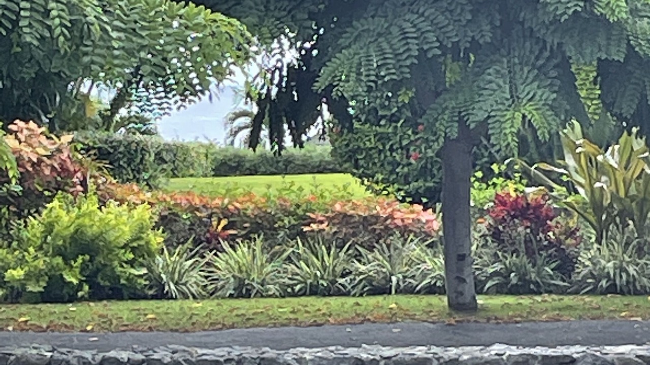 Photo of Others in Kailua-Kona