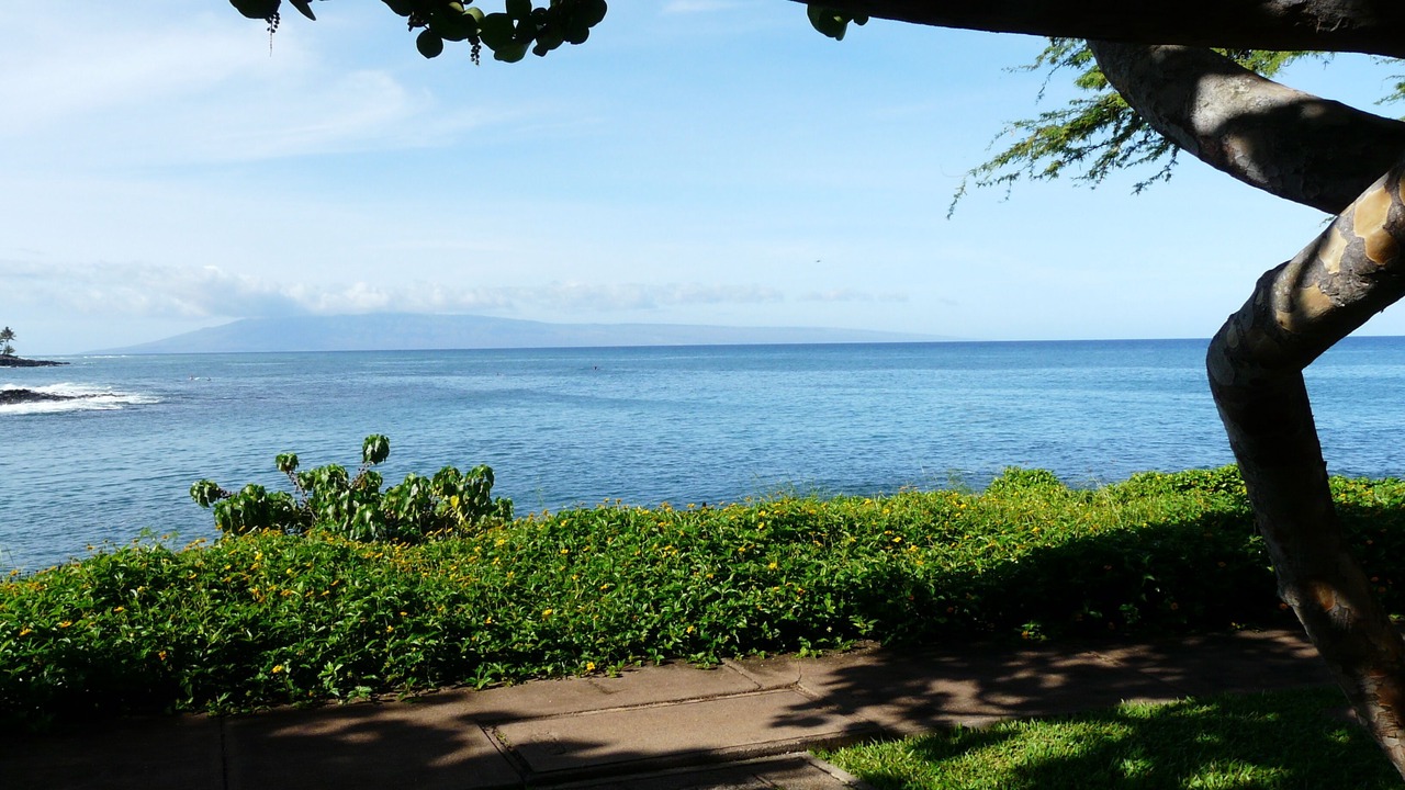 Photo of Others in Napili