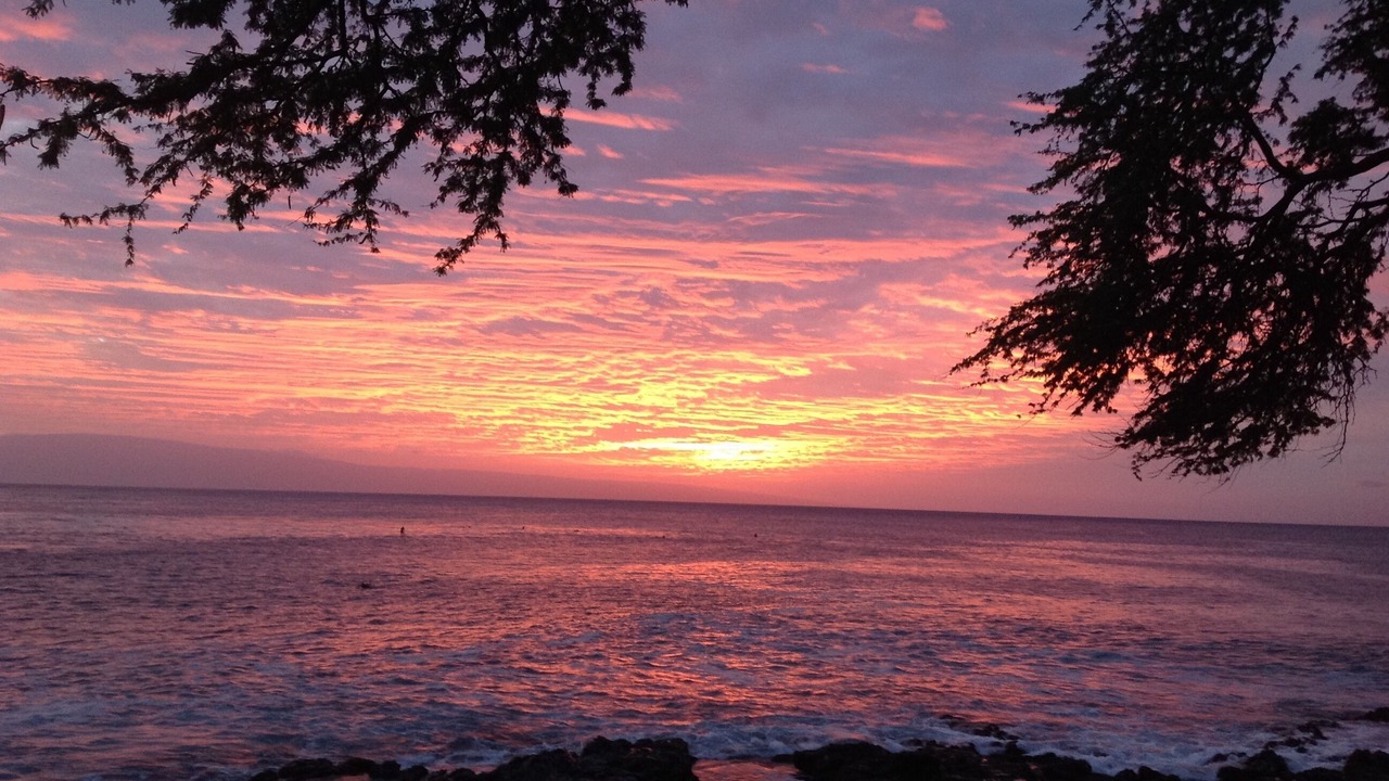 Photo of Others in Napili