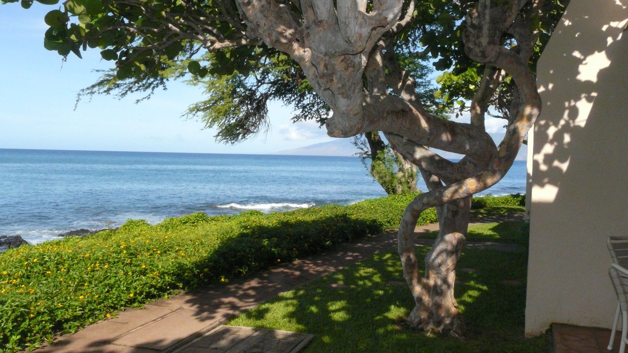 Photo of Others in Napili