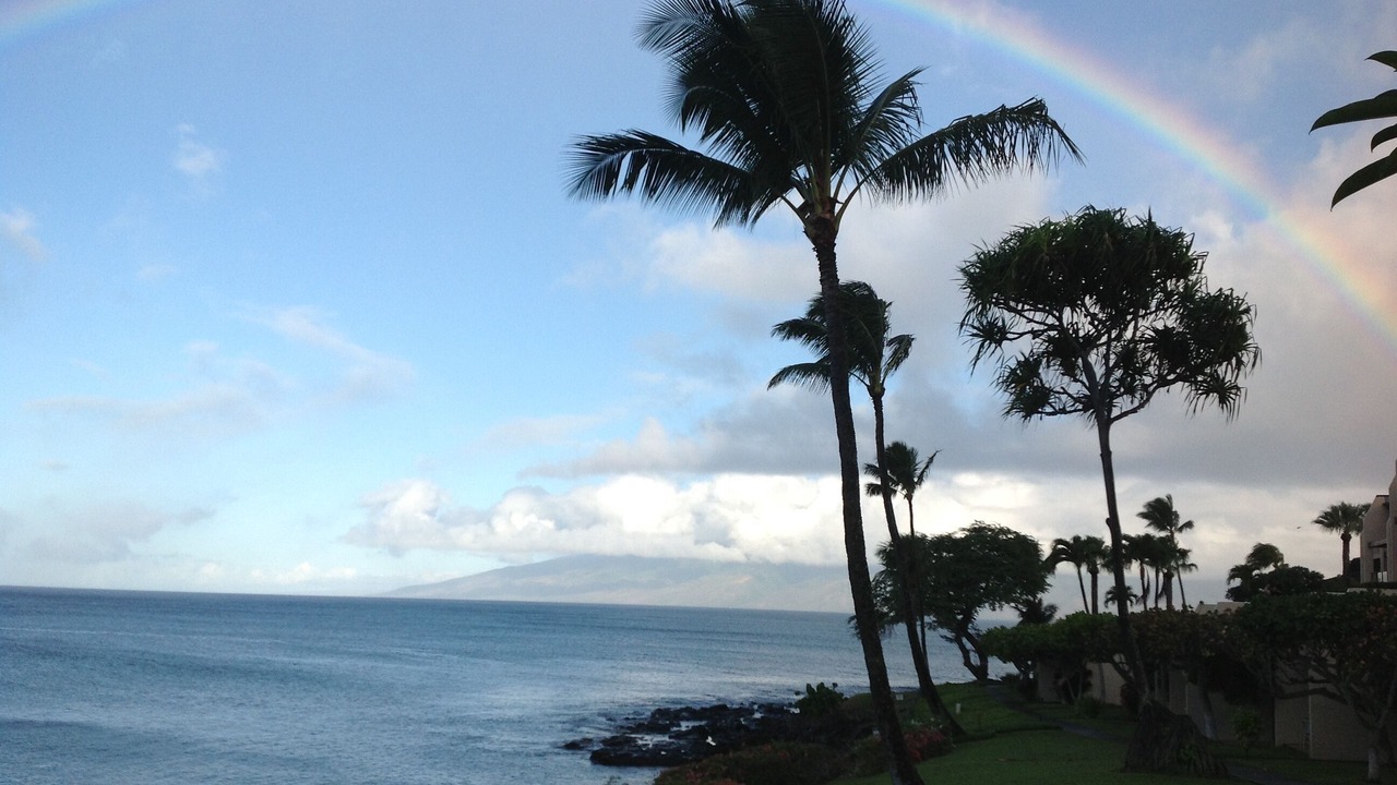 Photo of Others in Napili