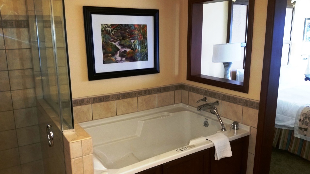 Photo of Others in Kaanapali