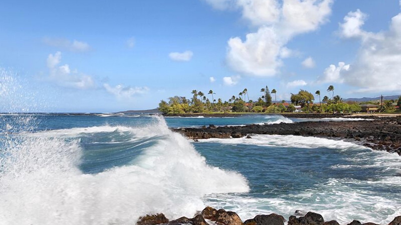 Photo of Others in Poipu