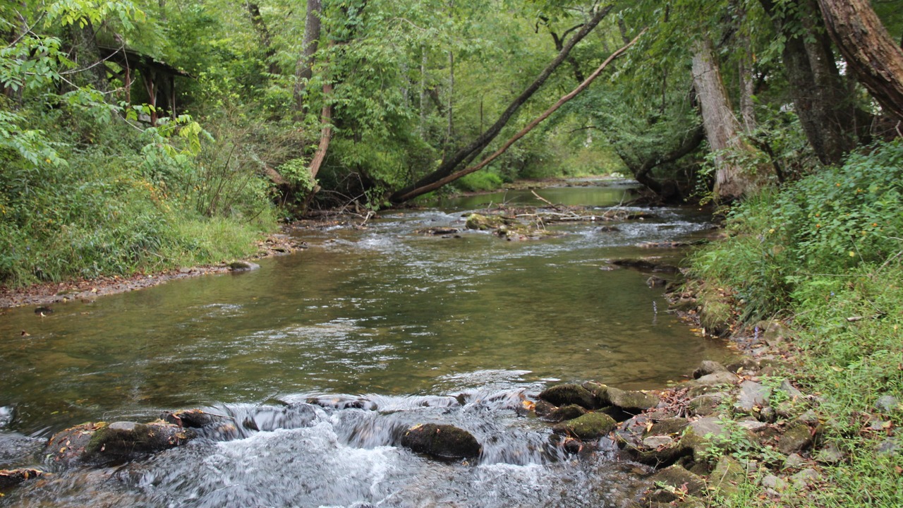 Photo of Others in Blue Ridge