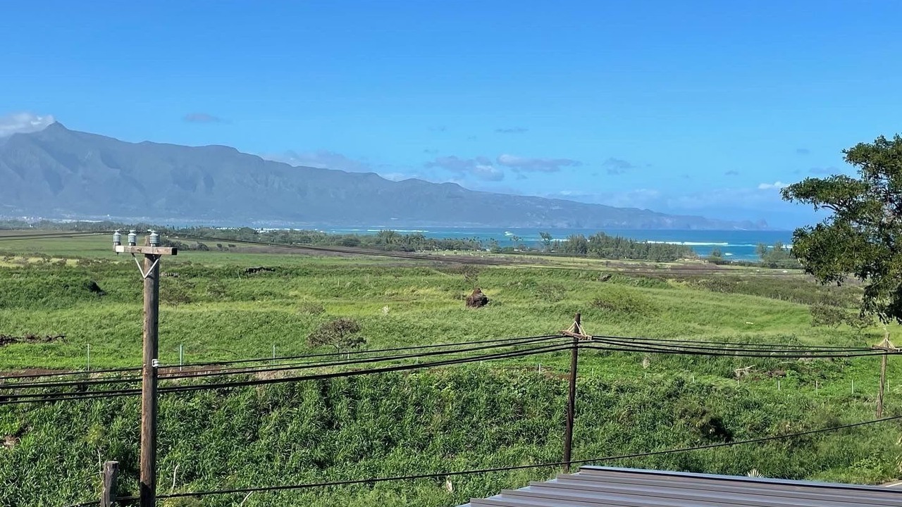 Photo of Others in Paia