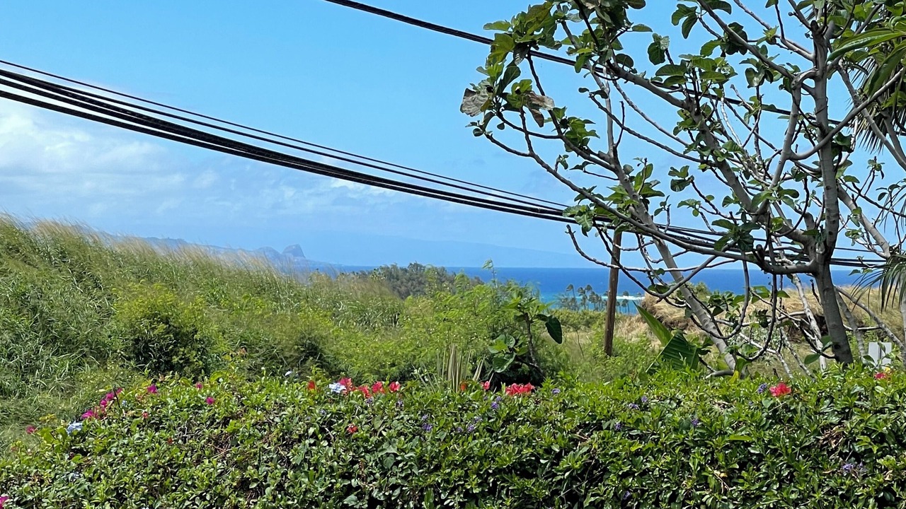 Photo of Outdoor in Paia