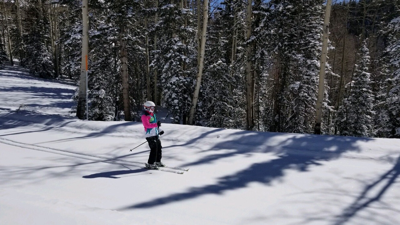 Photo of Others in Beaver