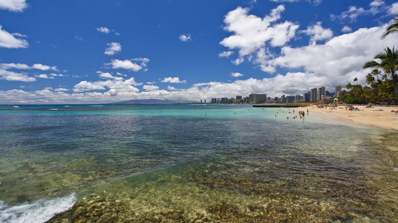 Photo of Others in Diamond Head - Kapahulu - St. Louis