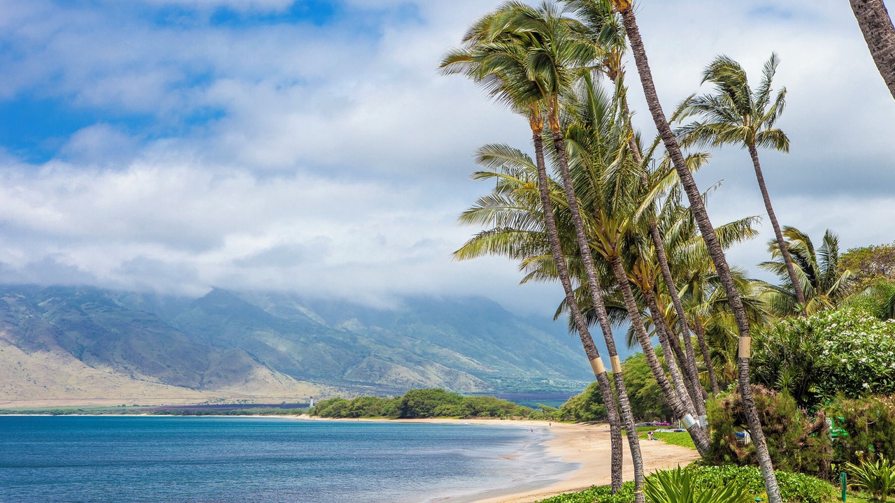 Photo of Others in Kihei