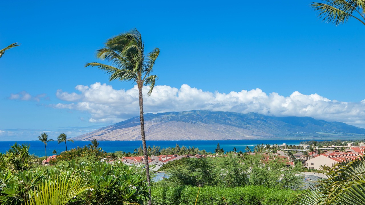 Photo of Others in Kihei