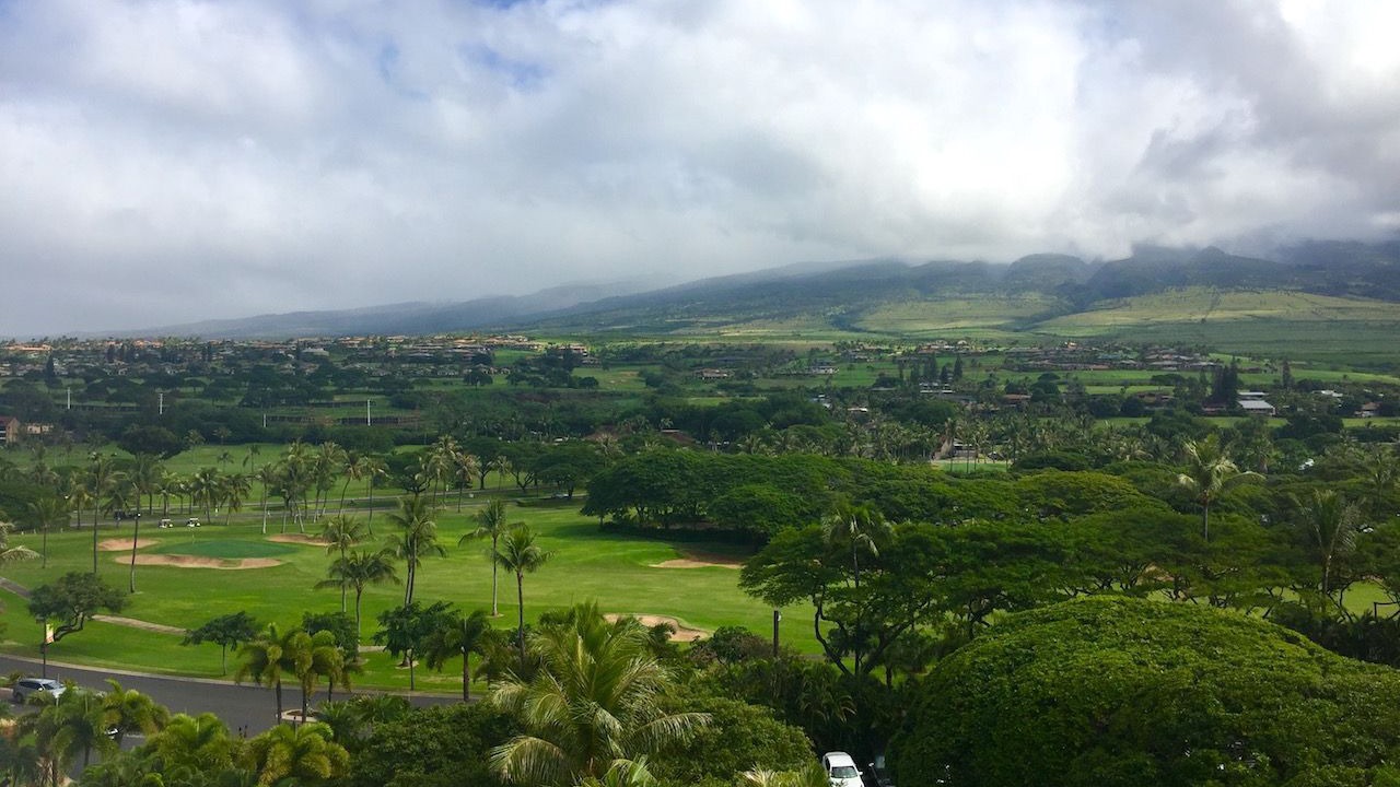 Photo of Others in Kaanapali