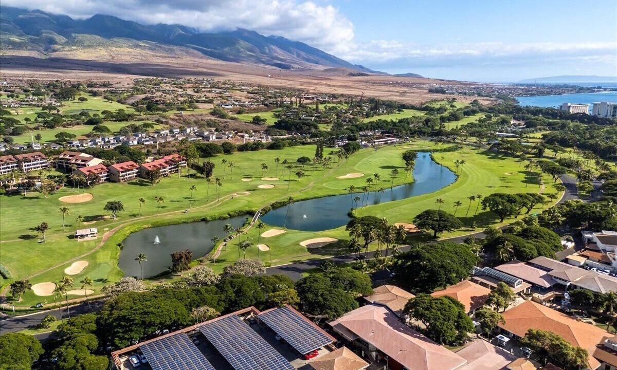 Photo of Others in Kaanapali