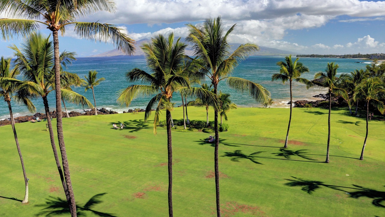 Photo of Others in Kihei