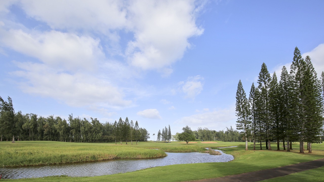 Photo of Others in Kahuku