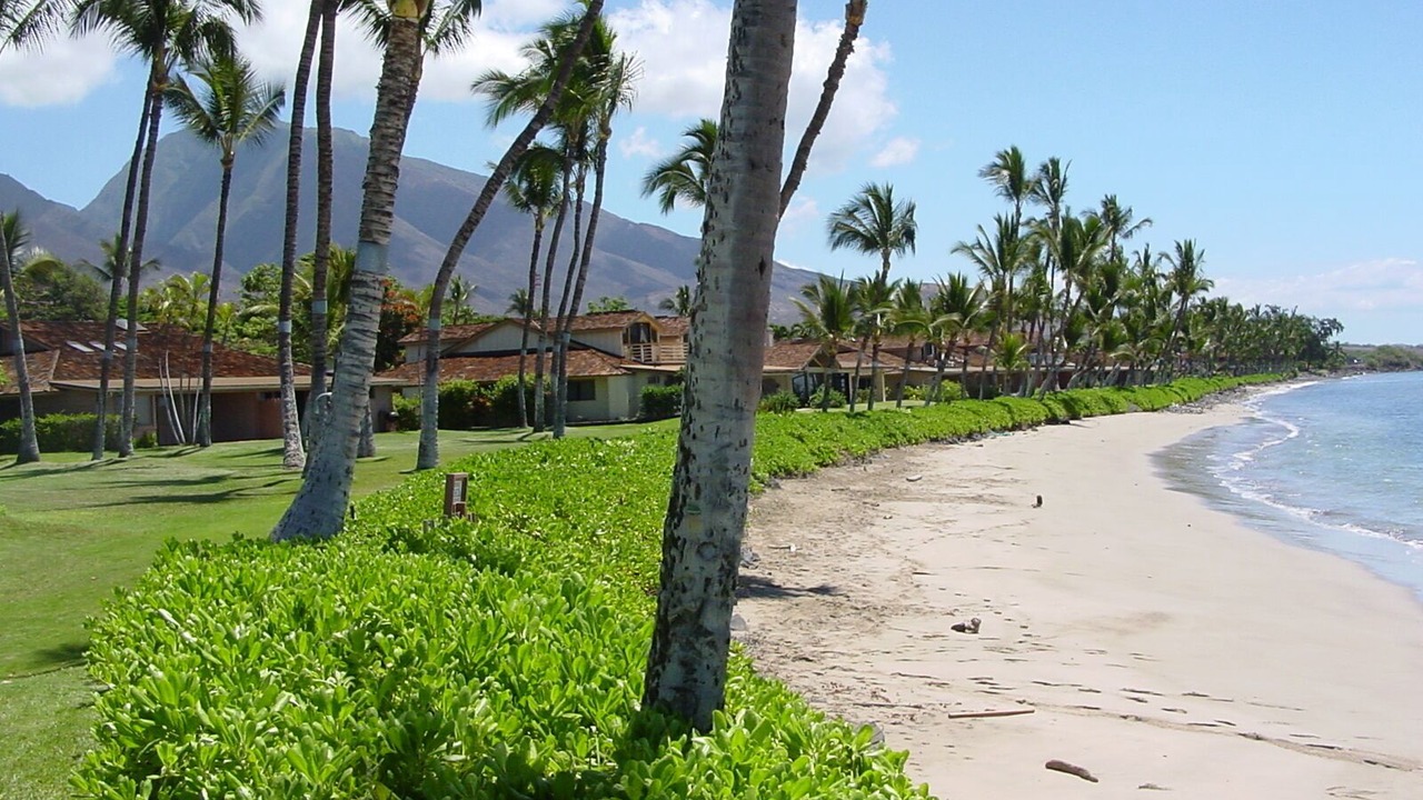 Photo of Others in Downtown Lahaina
