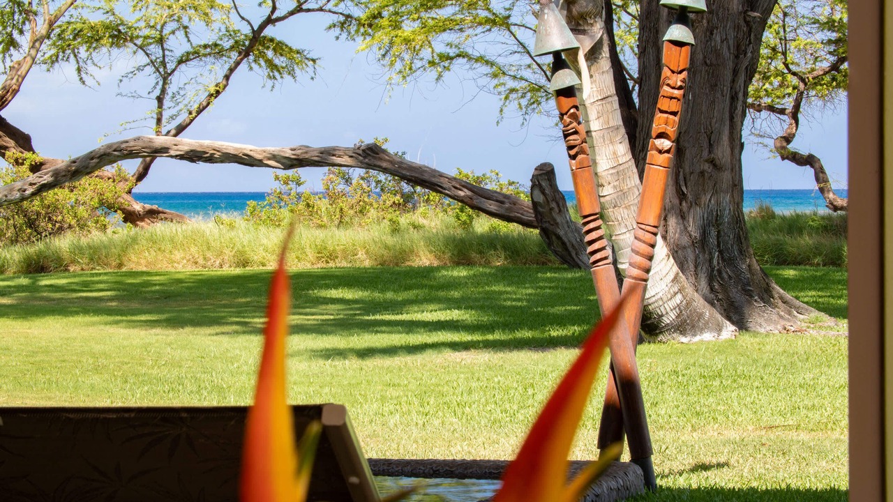 Photo of Others in Kihei