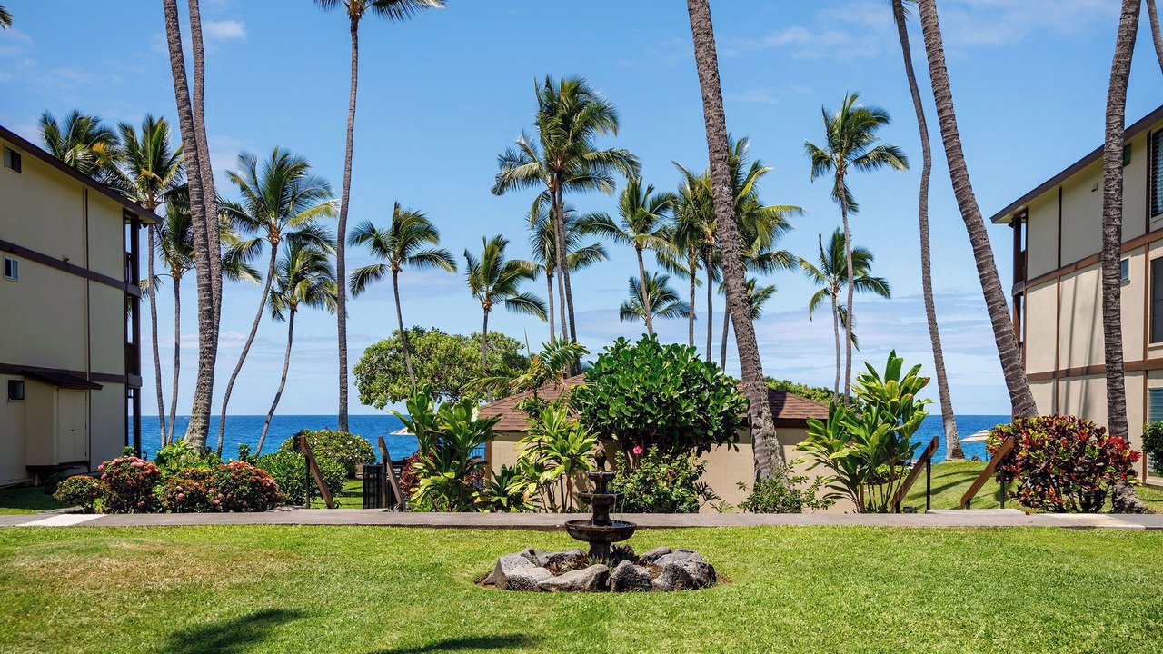 Photo of Outdoor in Kailua-Kona