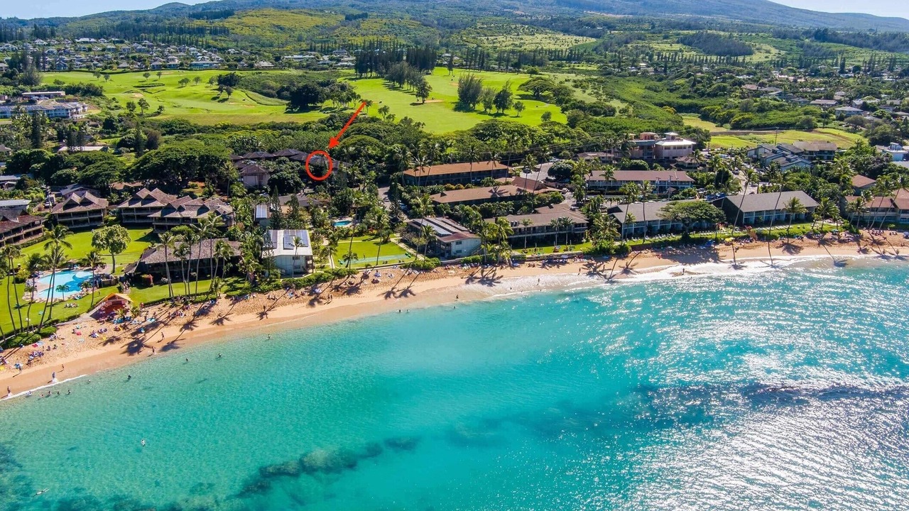 Photo of Others in Napili