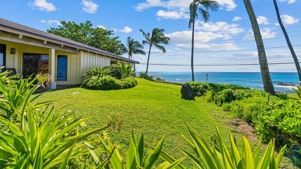 Photo of Others in Poipu