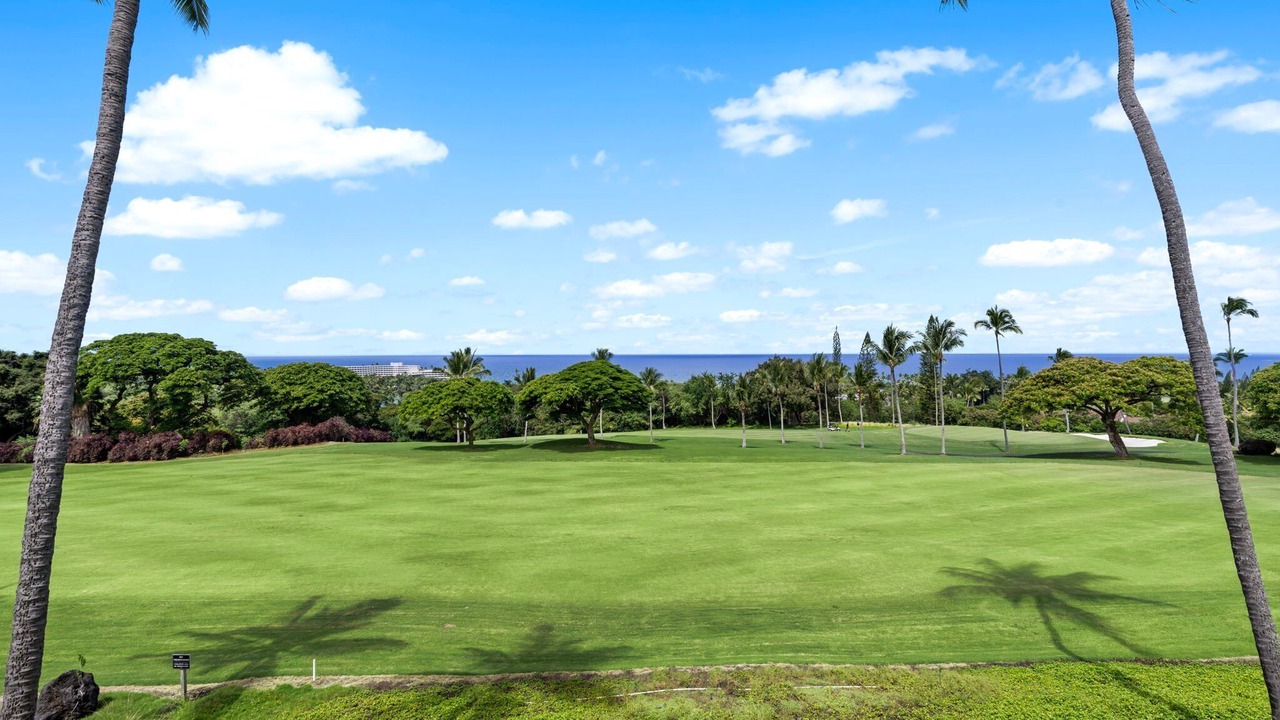 Photo of Others in Keauhou