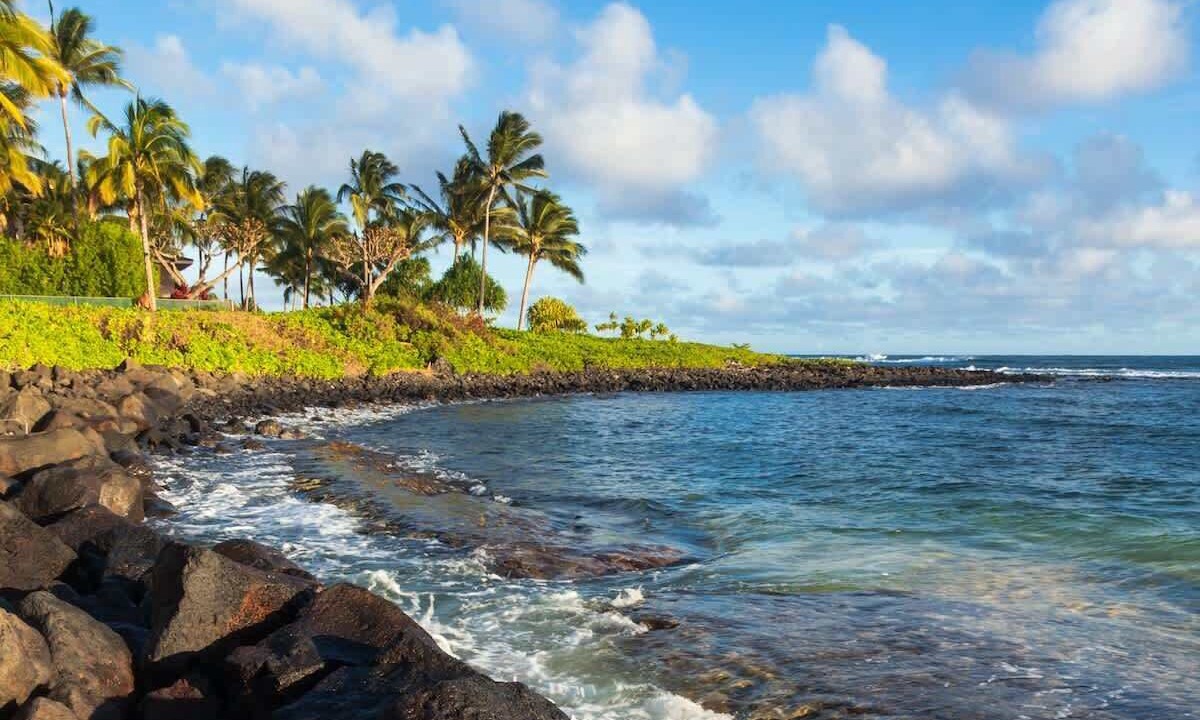 Photo of Others in Wailua