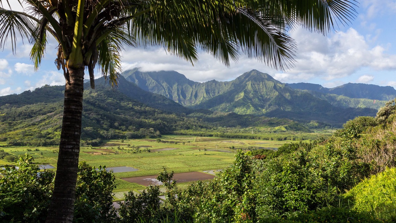 Photo of Others in Wailua
