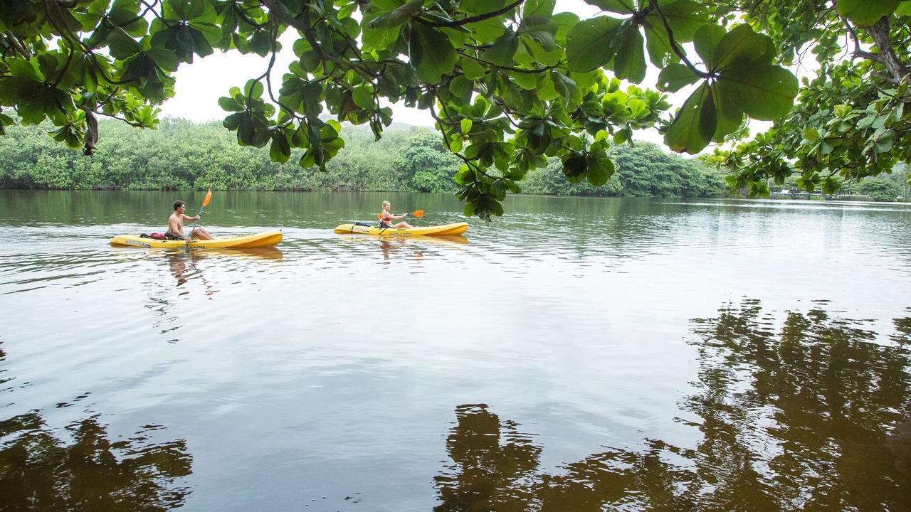 Photo of Others in Wailua