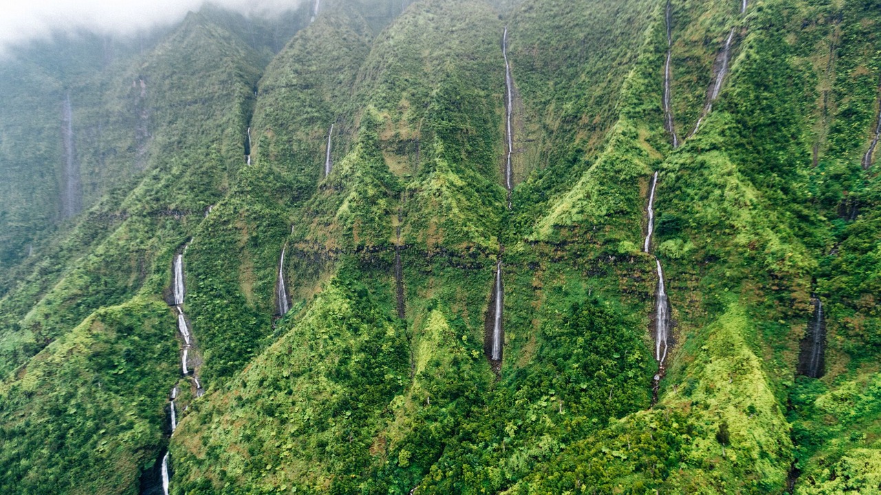 Photo of Others in Wailua