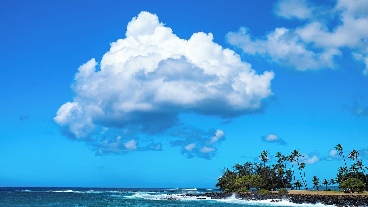 Photo of Others in Poipu