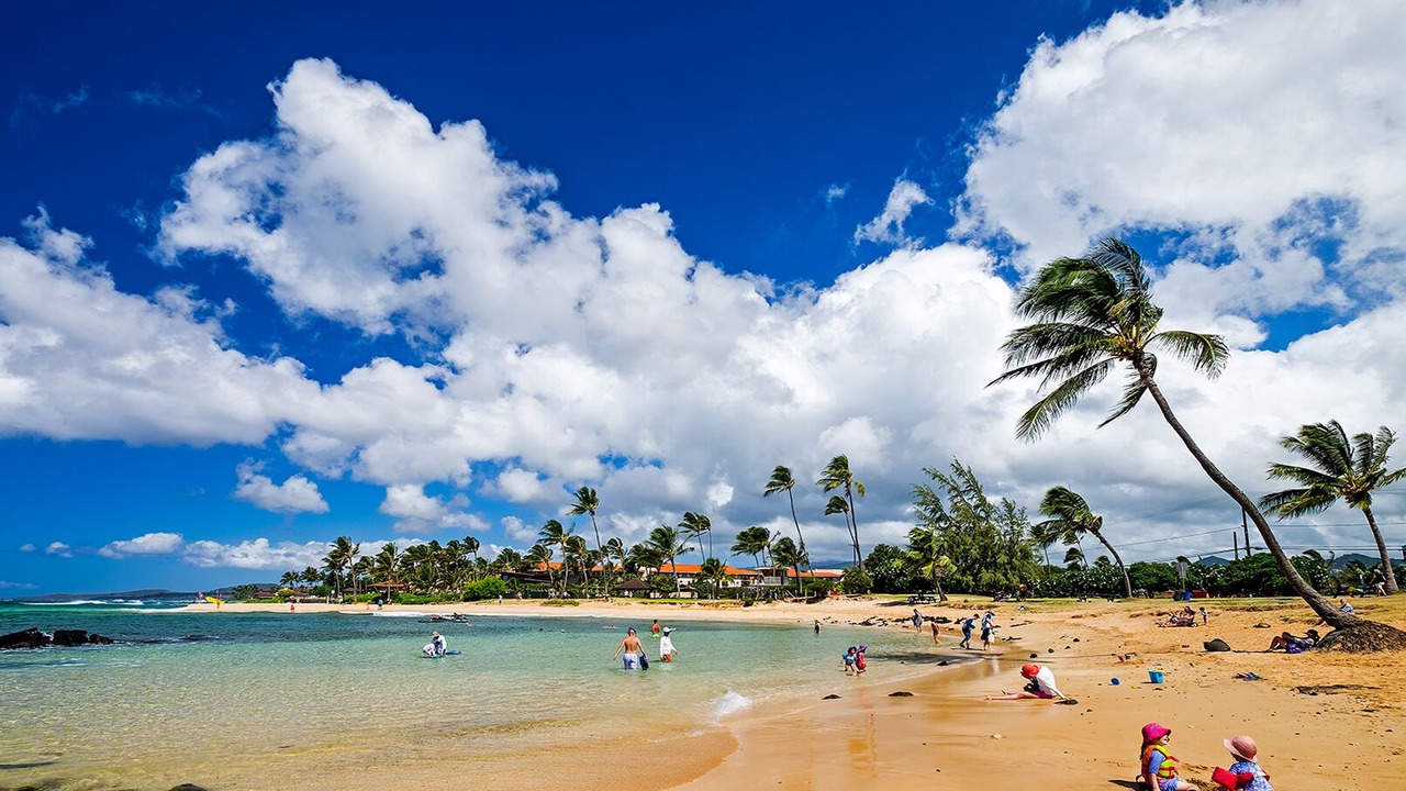 Photo of Others in Poipu