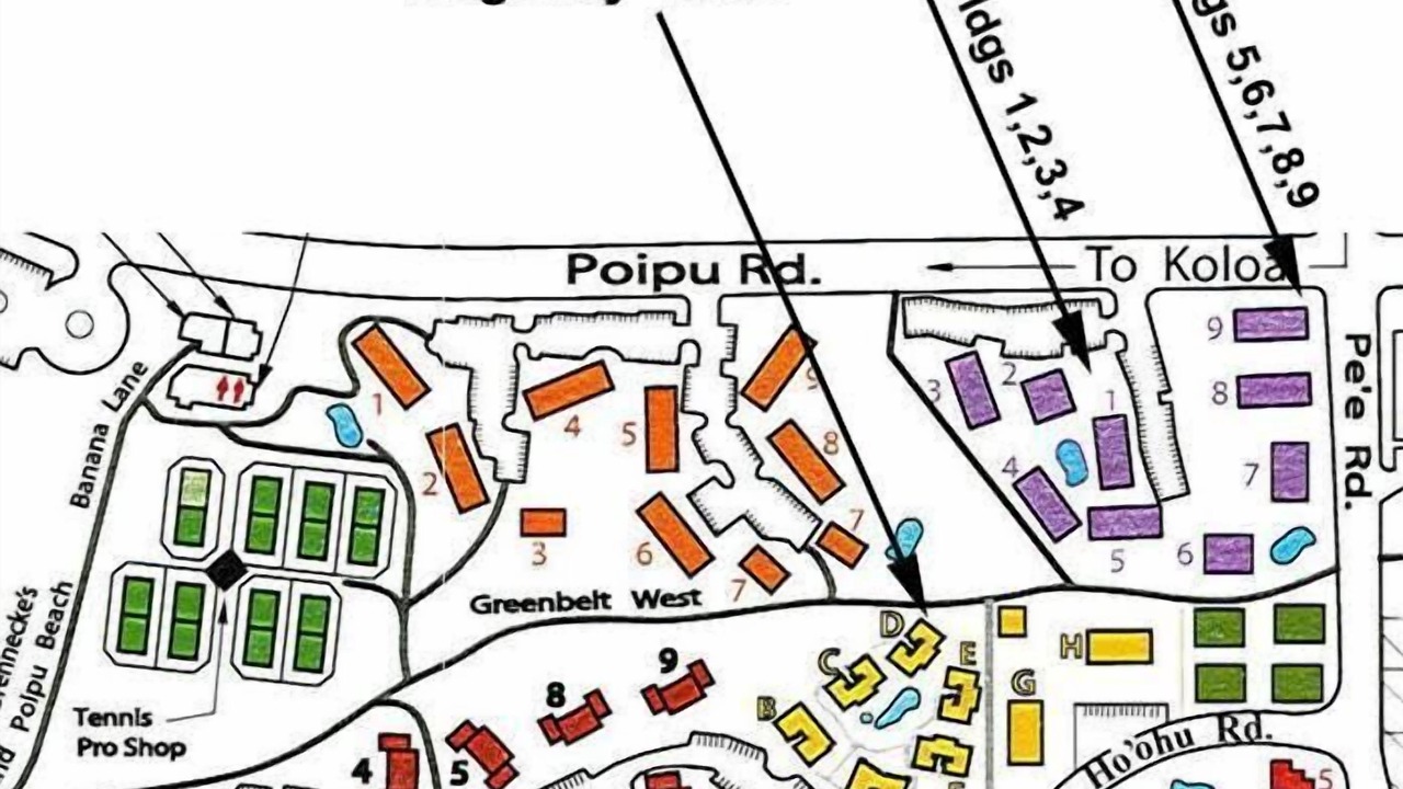 Photo of Others in Poipu