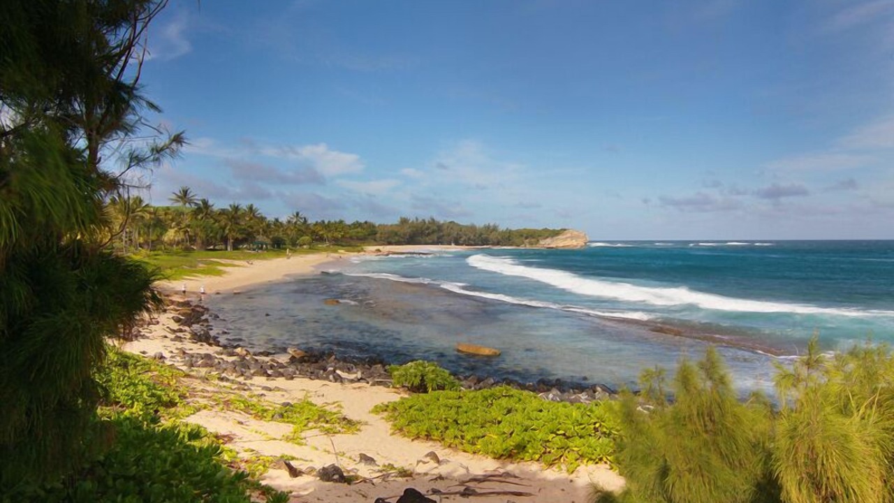 Photo of Others in Poipu