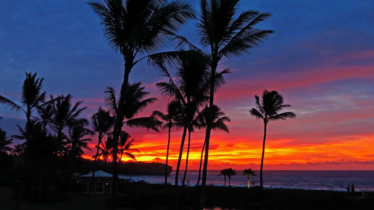 Photo of Others in Poipu