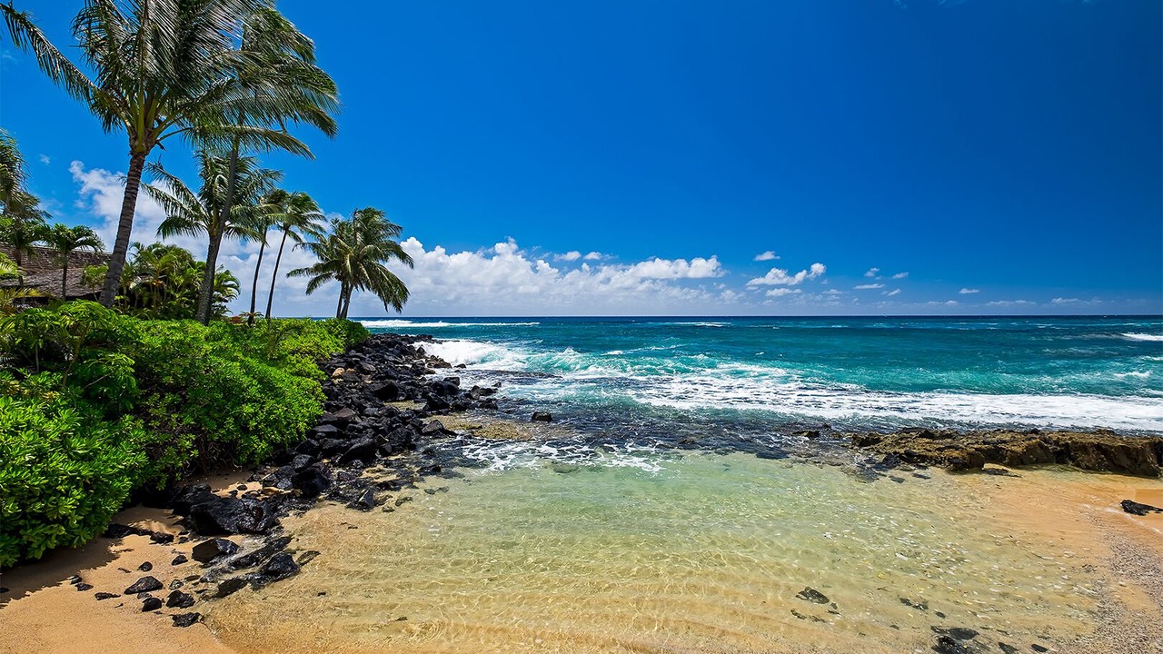Photo of Others in Poipu