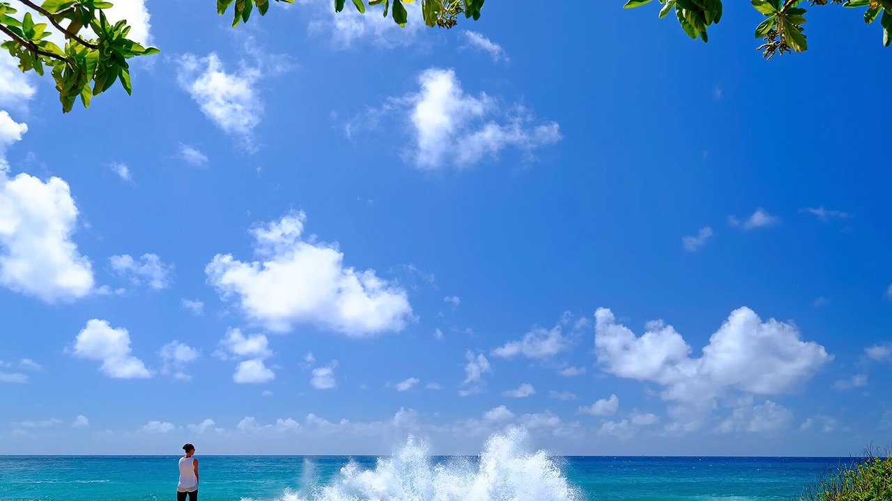Photo of Others in Poipu