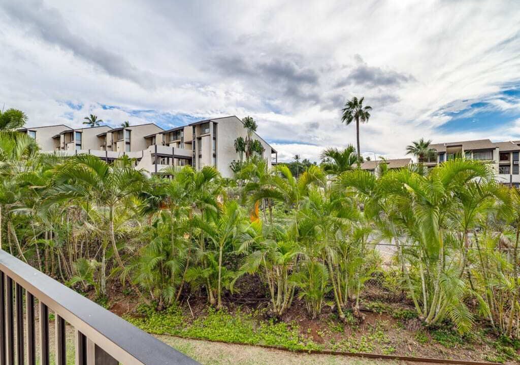 Photo of Outdoor in Kihei