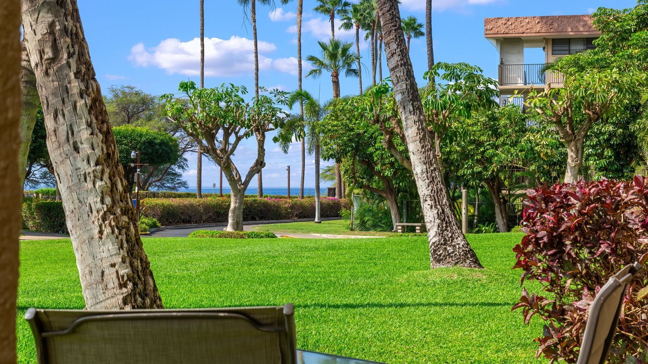 Photo of Others in Kihei
