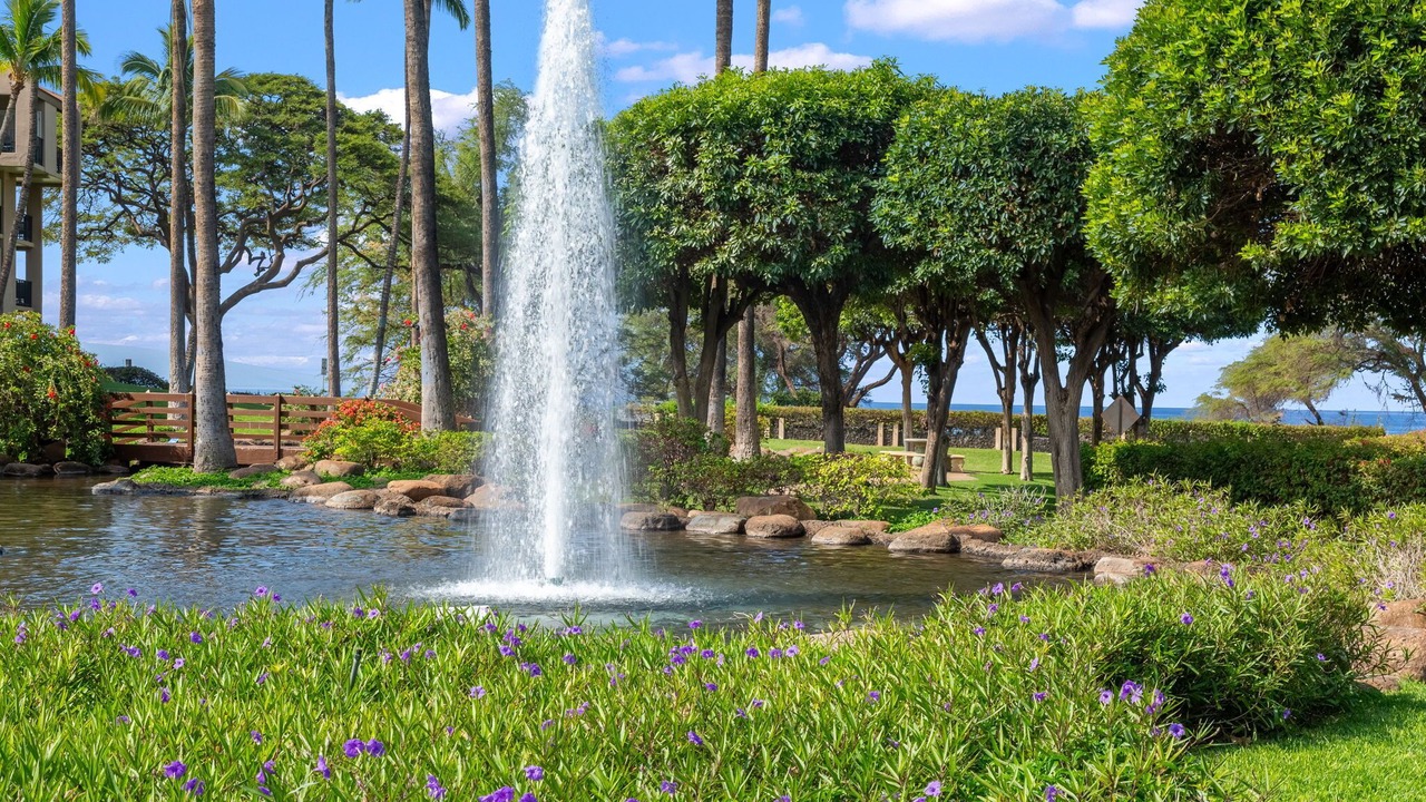 Photo of Others in Kihei